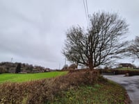 Chemin du Haras