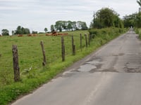 Chemin du Haras