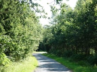 Chemin du Pré Mohette