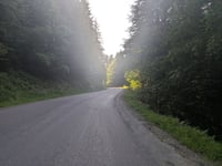 Chemin du Tour du Lac vanuit Gérardmer