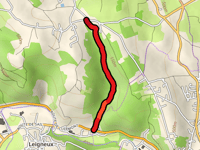 Chemin Neuf