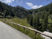 Cheneil von Valtournenche