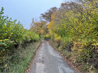 Chequers Lane from Fingest