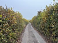 Chequers Lane from Fingest