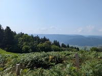 Chèvre Roche da Crémanvillers