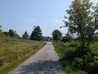Chèvre Roche da Crémanvillers