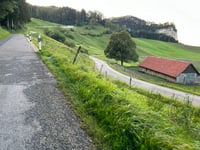 Chilchzimmersattel from Trimbach