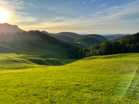 Chilchzimmersattel from Trimbach