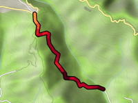 China Grade Road from Forest Springs