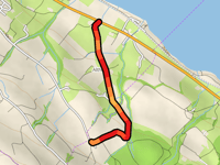 Cholholz über Althusstrasse