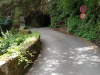 Cicogna von Santino
