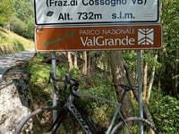 Cicogna von Santino