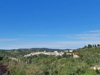 Cima di San Benedetto Vecchio da Pietralunga