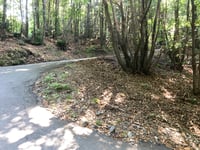 Cima Ologno da Cannero Riviera