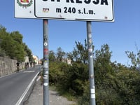 Cipressa
