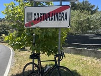 Cipressa