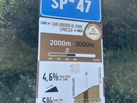 Cipressa