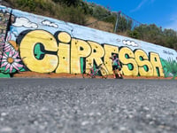 Cipressa