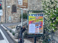 Cipressa