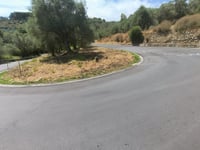 Cipressa