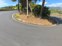 Cipressa