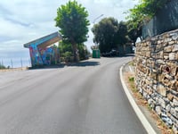 Cipressa