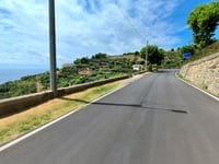 Cipressa