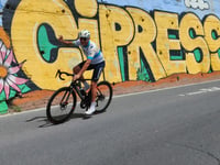 Cipressa