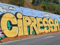 Cipressa