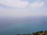 Cipressa