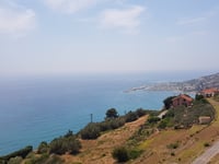 Cipressa