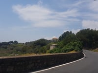 Cipressa