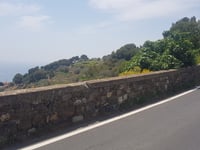 Cipressa