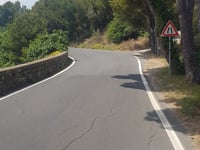 Cipressa