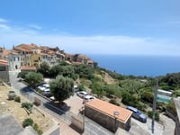 Cipressa