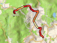 Citânia de Sanfins da Longra