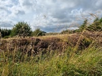 Cleish Hill / Heights of Craigencrow von Dunfermline