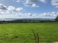 Clonea