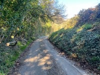 Cobblershill Lane von Hotley Bottom