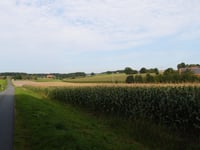 Coesfelder Berg von Coesfeld über Sitterstiege