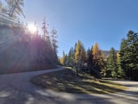 Col d'Albanne via D81