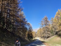 Col d'Albanne via D81