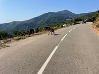 Col d’Arcarota von San Nicolao über D330