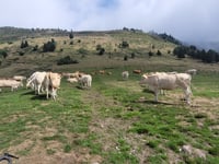 Col d'Aspin von Sainte Marie de Campan