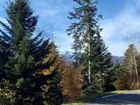 Col d'Aspin von Sainte Marie de Campan