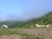 Col d'Aspin von Sainte Marie de Campan