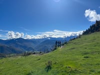 Col d'Aspin