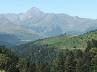 Col d'Aspin