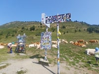 Col d'Aspin