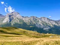 Col d'Aubisque from Argelès Gazost via Col du Soulor
